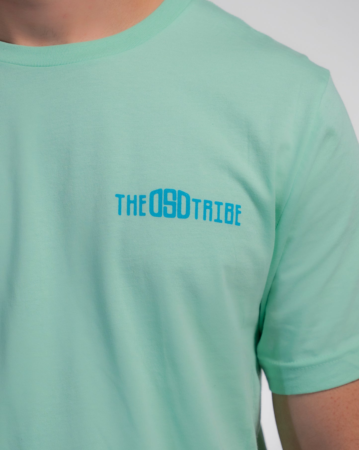 Bear in Mind Tee